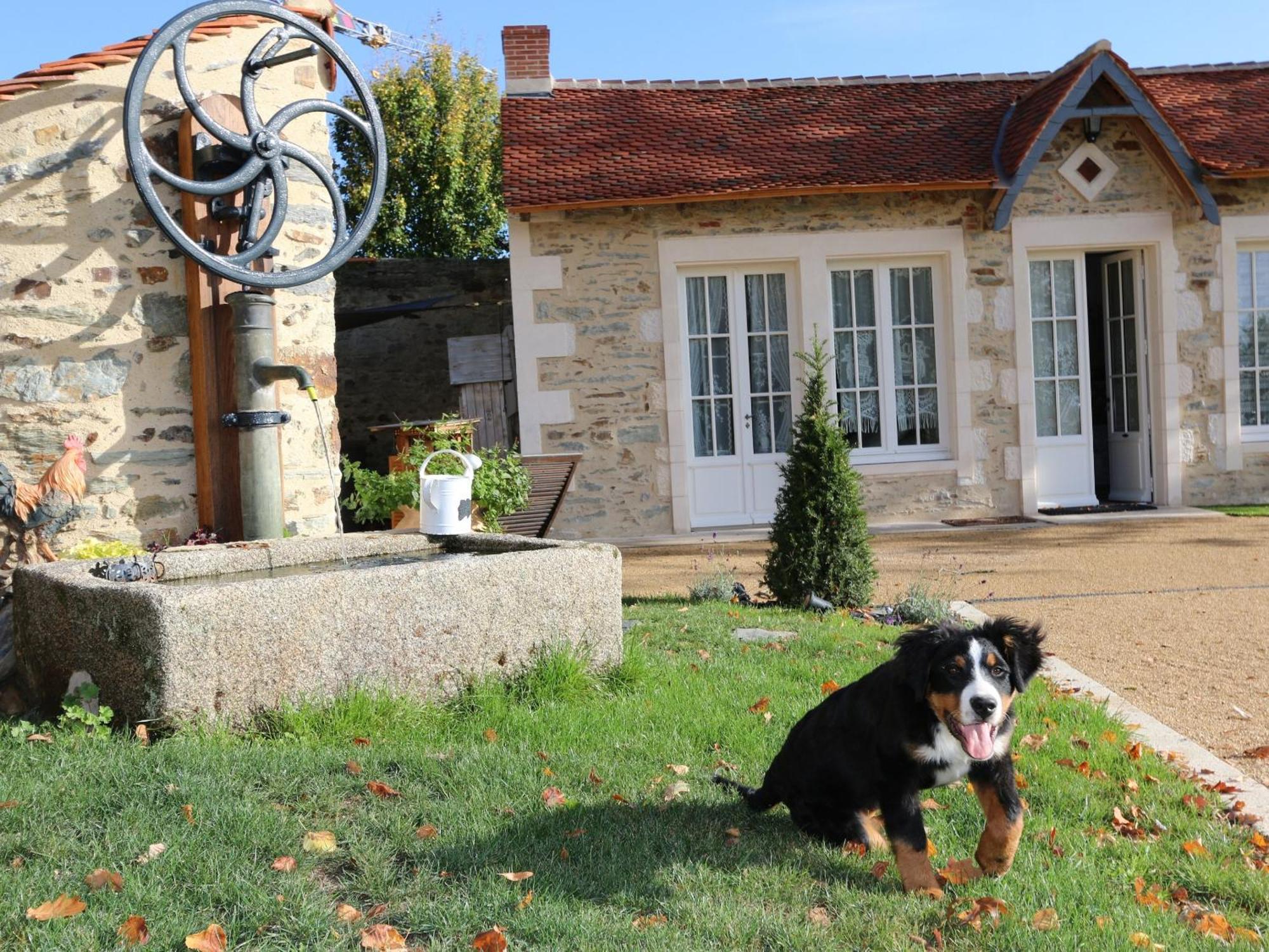 Gîte L'Orangerie Mouchamps Exterior foto